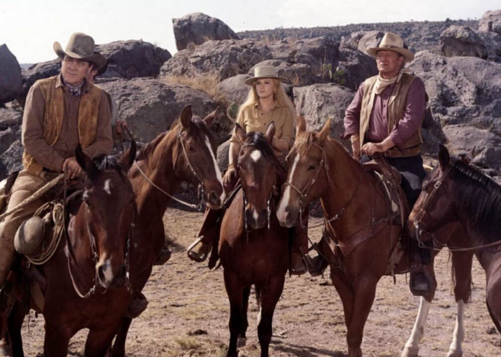 #100. The Train Robbers (1973)